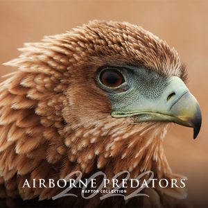 Airborne Predators
