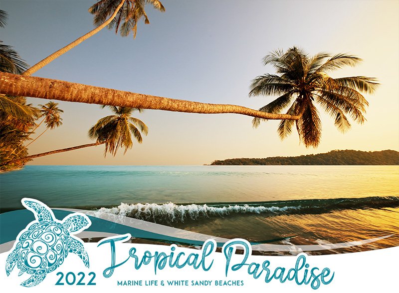 Tropical Paradise