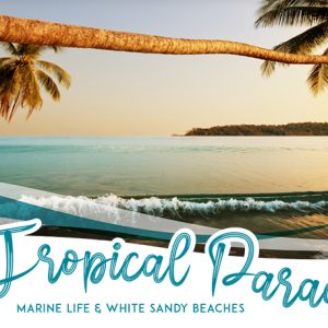 Tropical Paradise